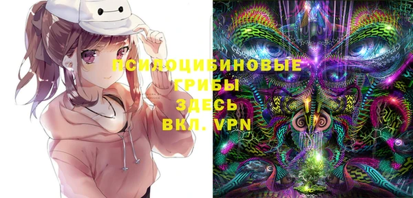 стафф Алексин