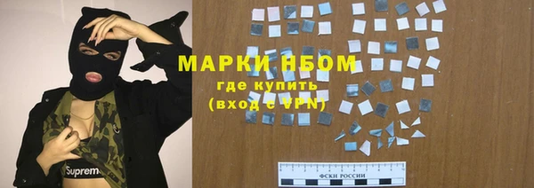стафф Алексин