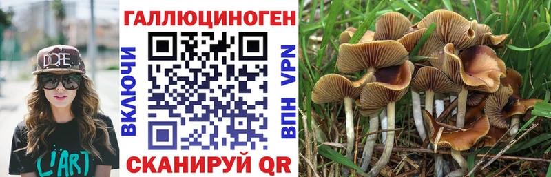 MEGA ТОР  Канск  Галлюциногенные грибы Cubensis 