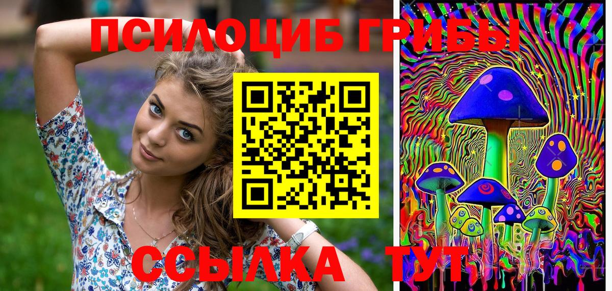 Канск  Псилоцибиновые грибы Psilocybe  Вход с VPN 